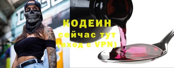 ГАЛЛЮЦИНОГЕННЫЕ ГРИБЫ Арсеньев