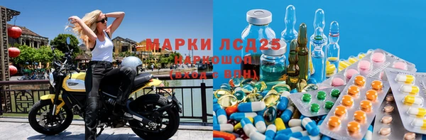 ГАЛЛЮЦИНОГЕННЫЕ ГРИБЫ Арсеньев
