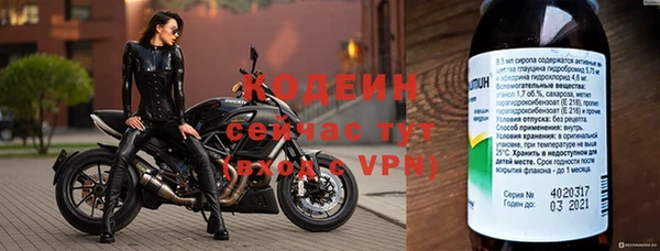 ГАЛЛЮЦИНОГЕННЫЕ ГРИБЫ Арсеньев