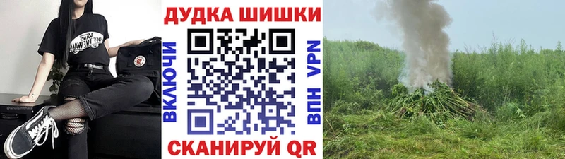 Бошки Шишки сатива  МЕГА вход  Устюжна 